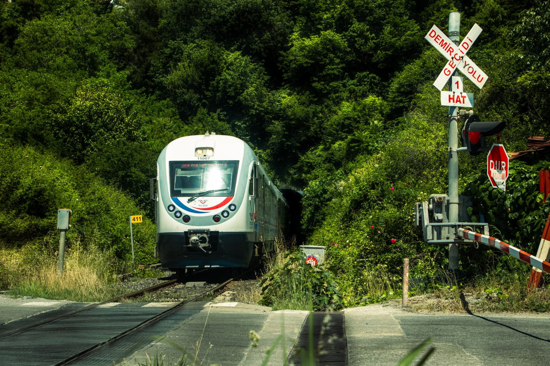 Pociąg wyłania się z tunelu przy przejeździe kolejowym wśród zieleni